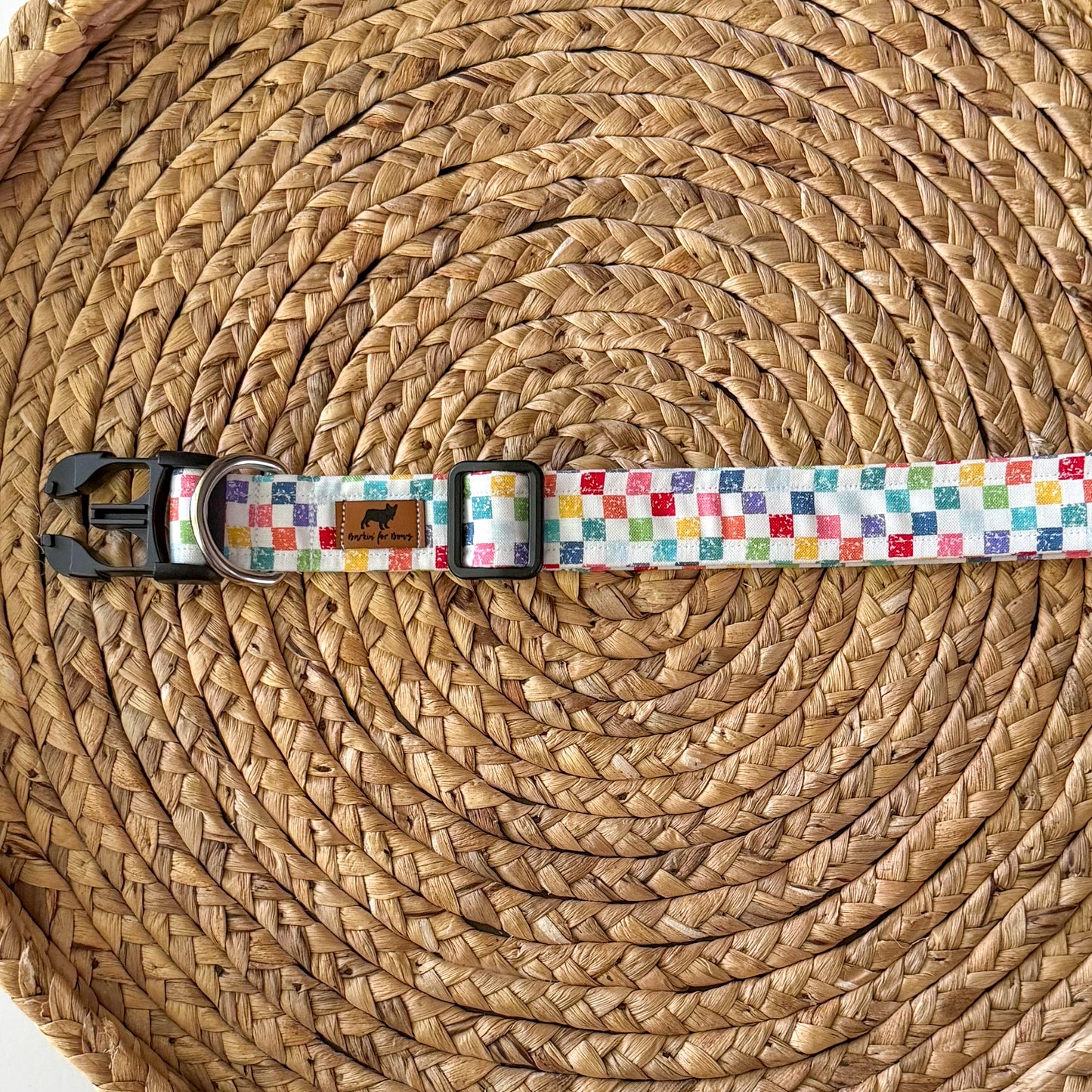 Checked Out for Summer Collar (Rainbow)