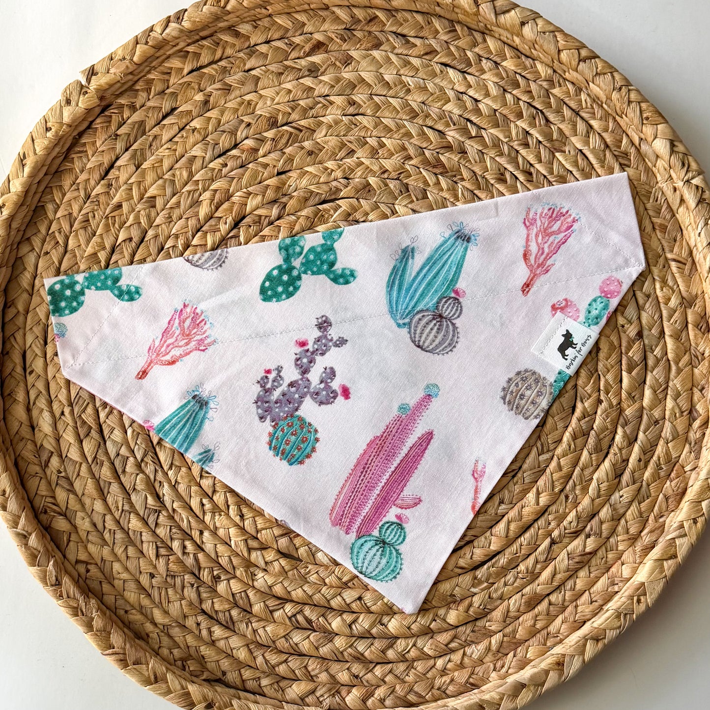 In The Desert Bandana