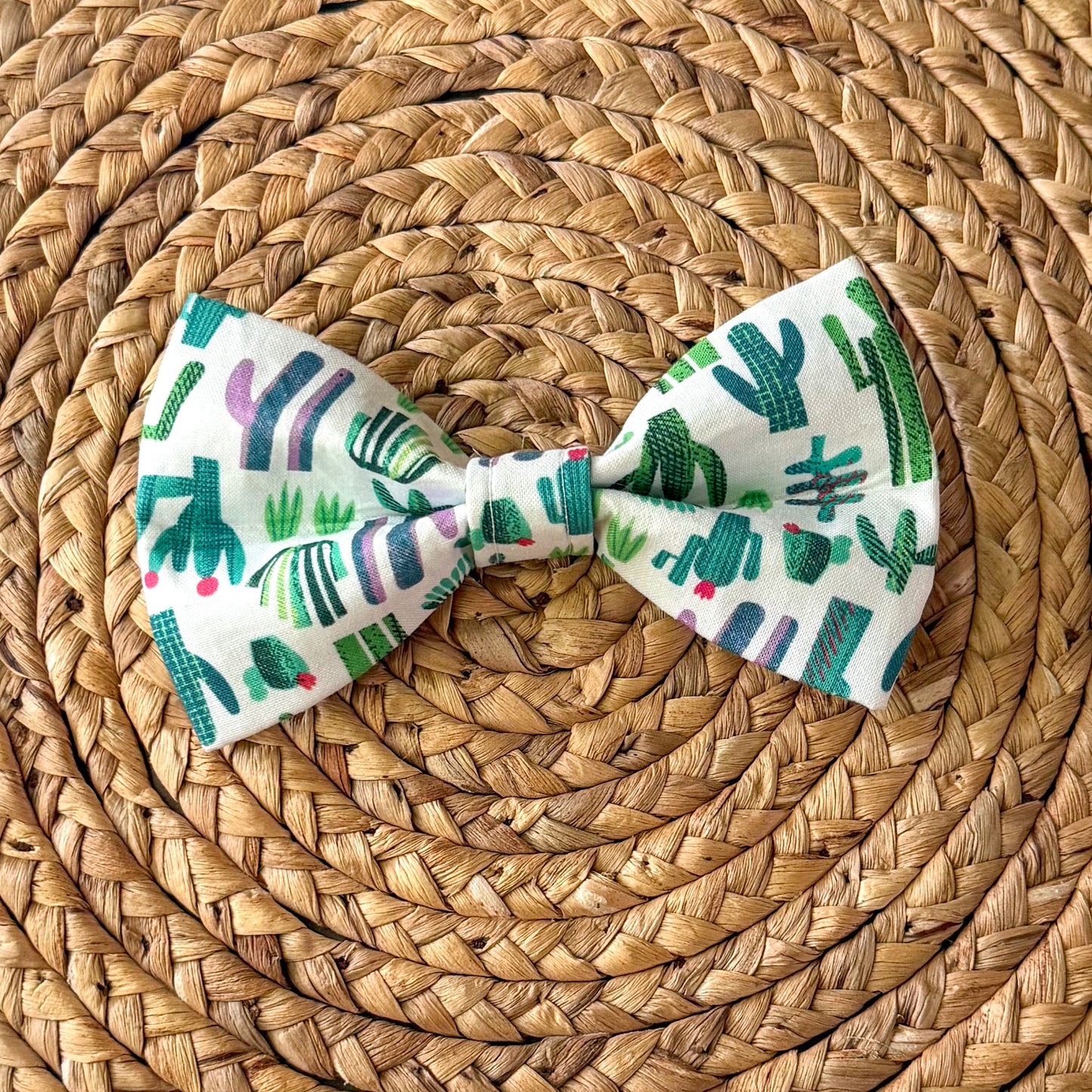 Plant Bow Tie