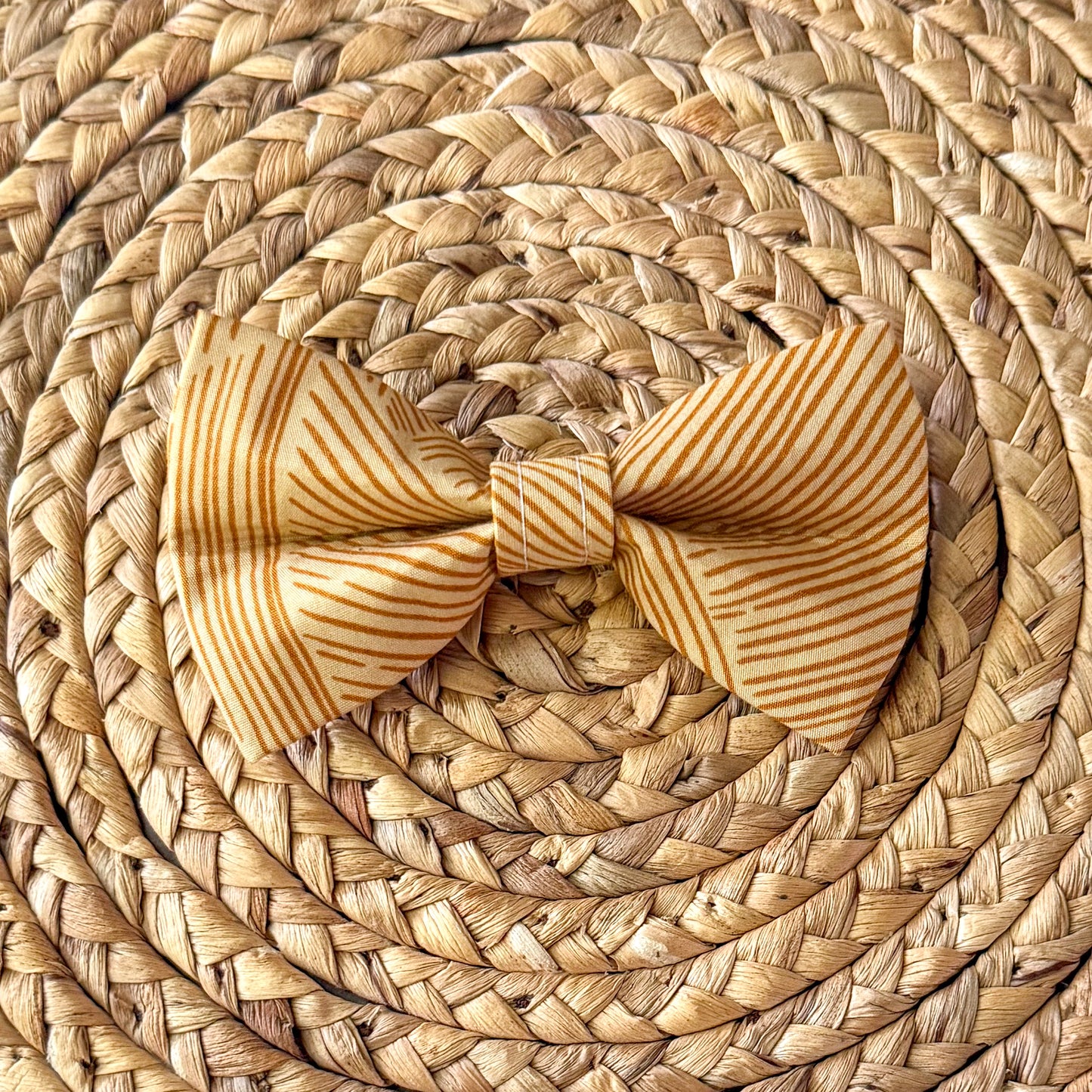 Spicy Mustard Bow Tie