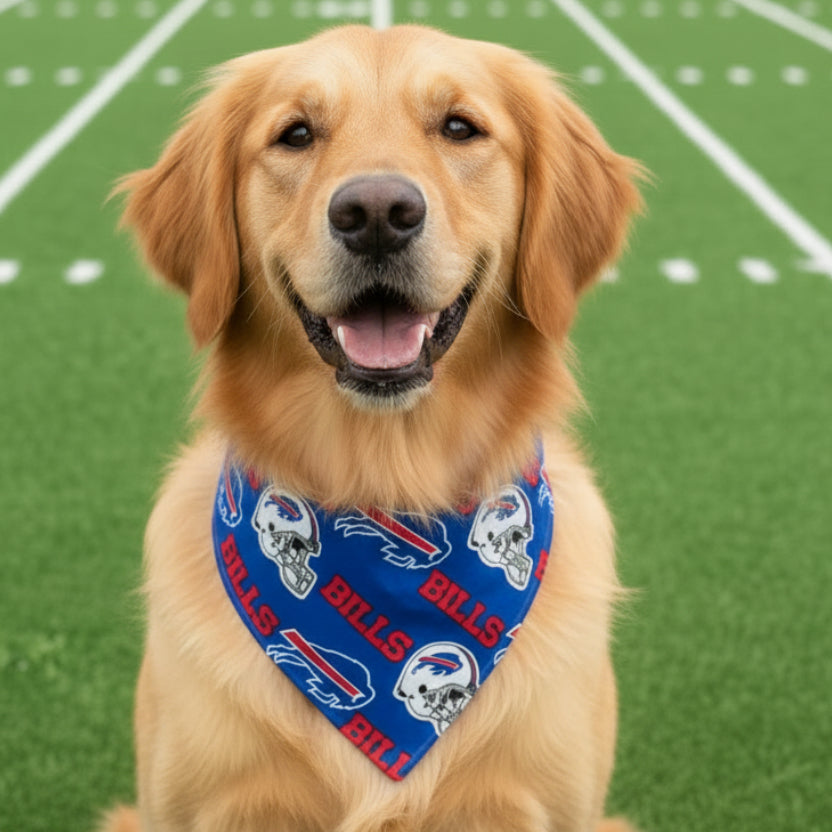 Bills Bandana