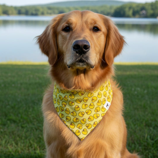 Rubber Ducky Bandana