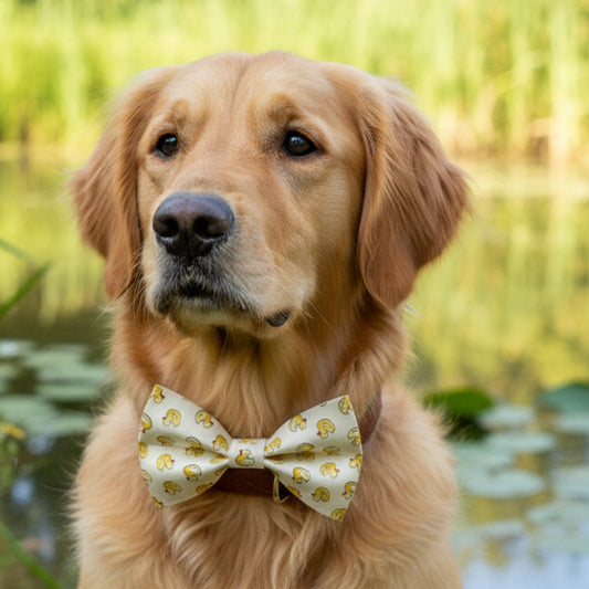 Rubber Ducky Bow Tie