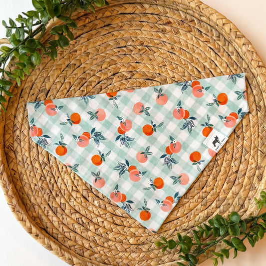 Just Peachy Bandana