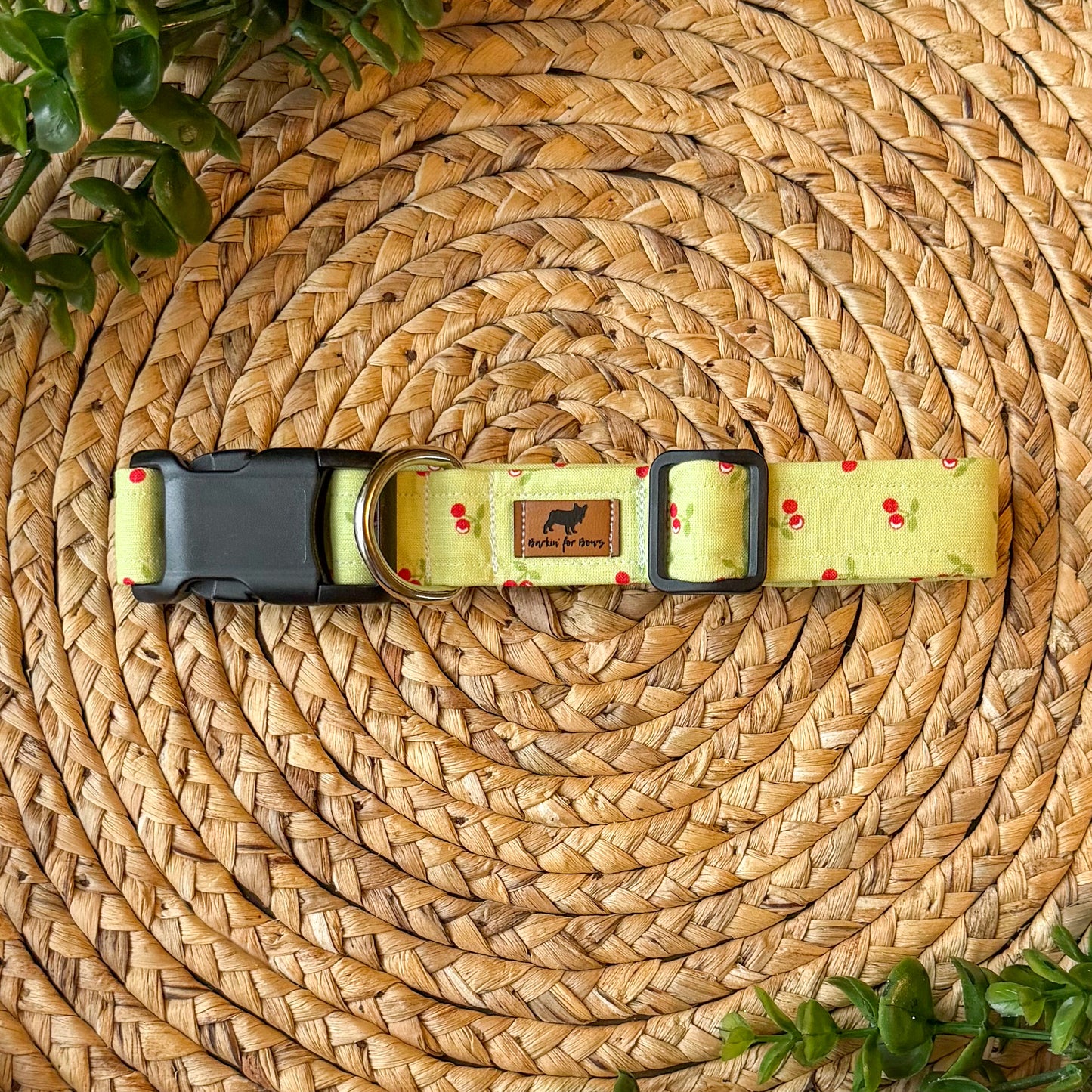 Cherry Collar