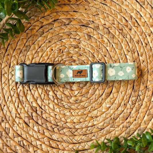 The Piper Collar