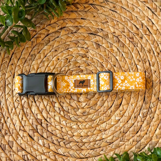 The Belle Collar