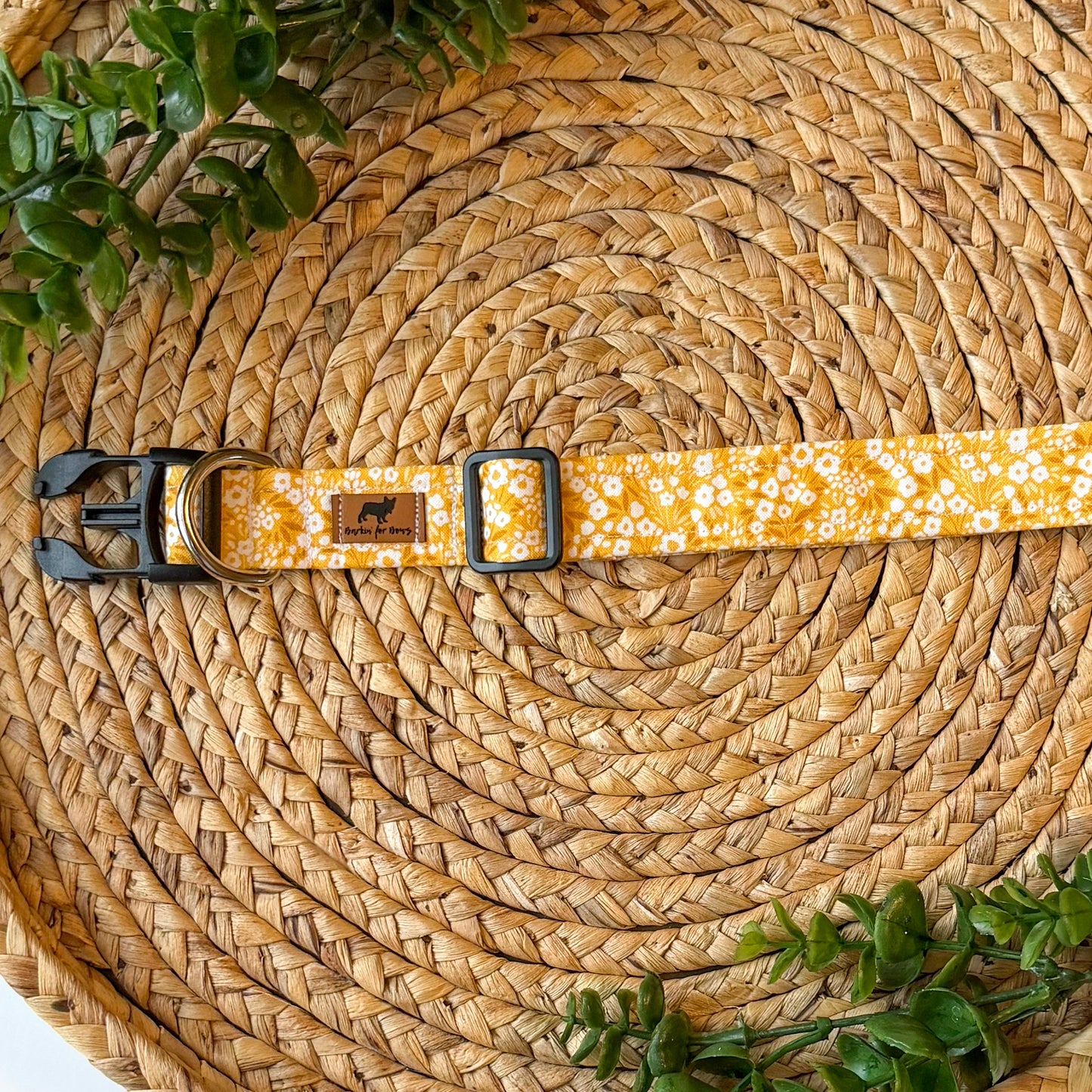 The Belle Collar