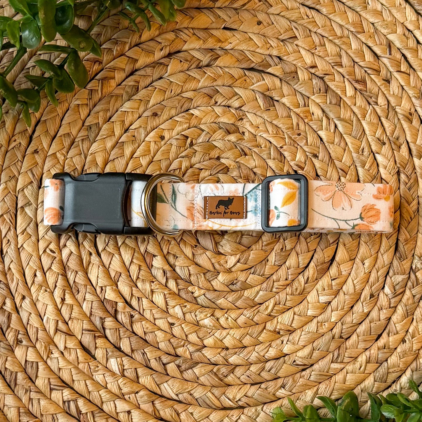 The Ava Collar