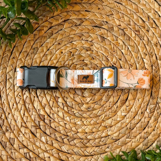 The Ava Collar