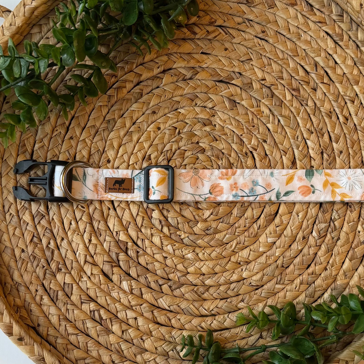 The Ava Collar