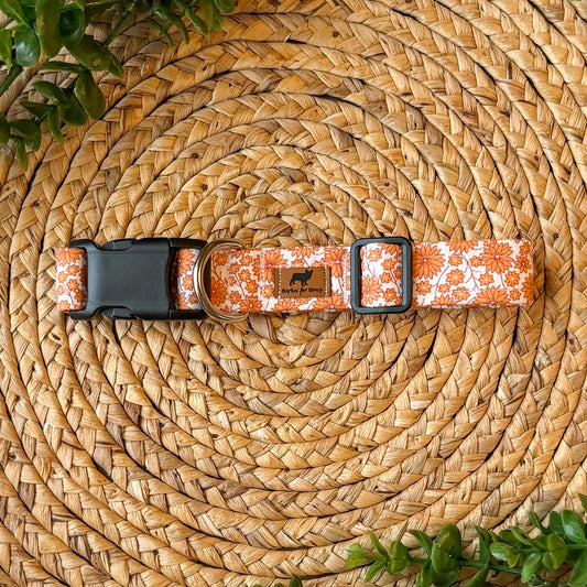 The Josie Collar