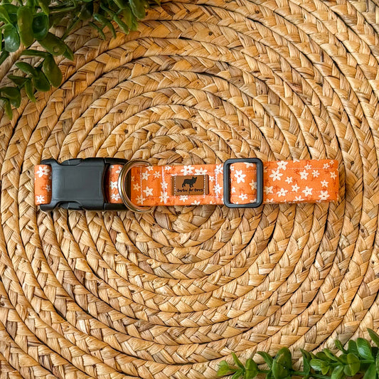 The Birdie Collar