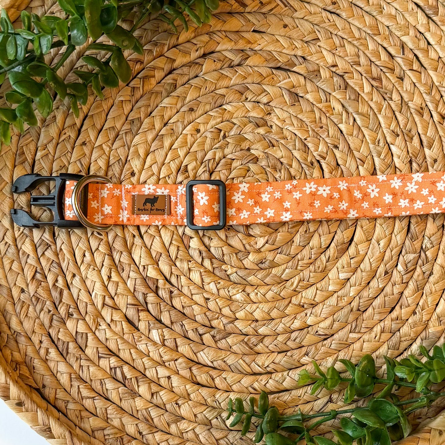 The Birdie Collar