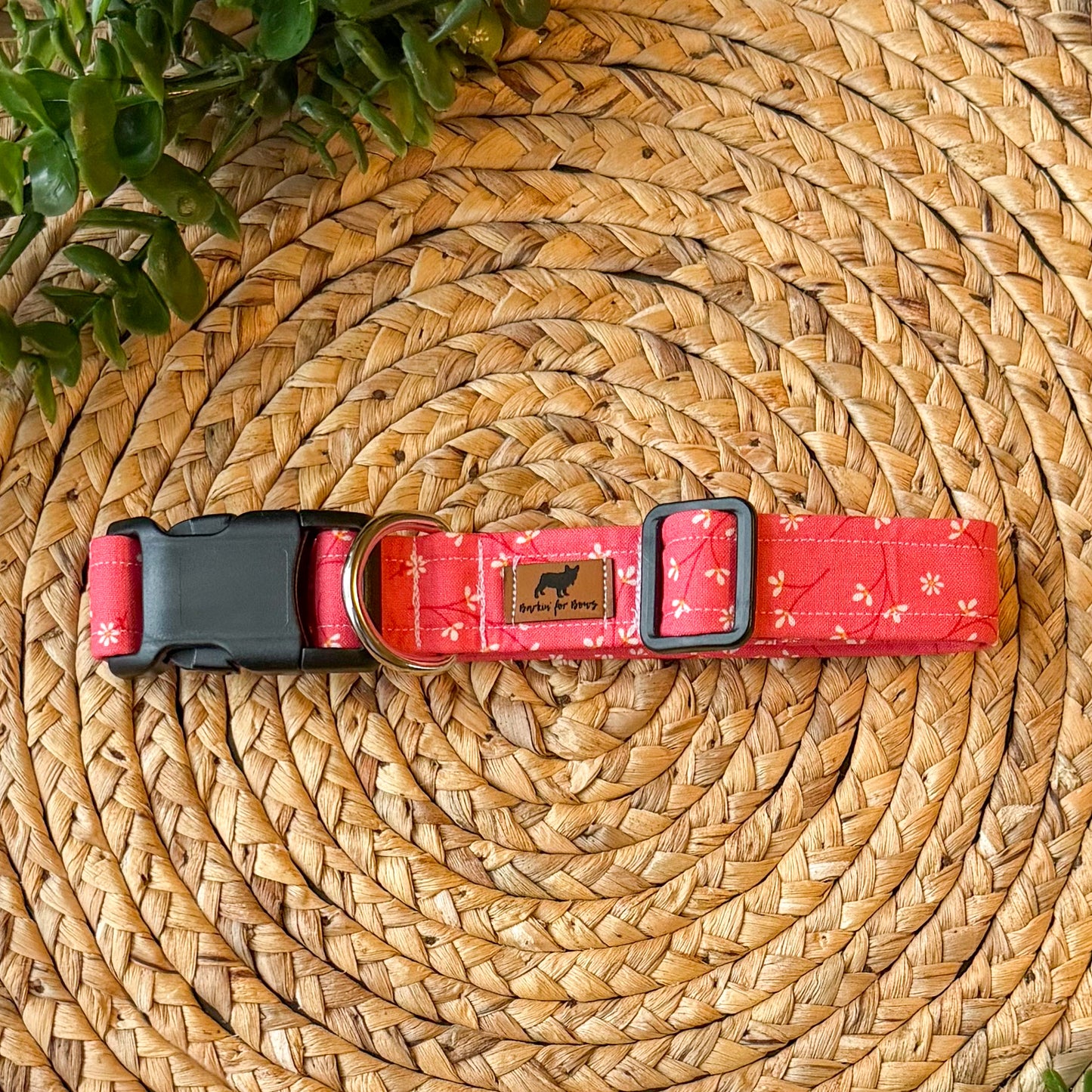 The Barbie Collar