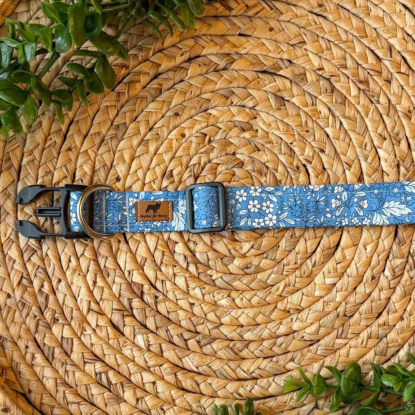 The Elly Collar