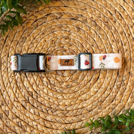 Ladybug Luck Collar