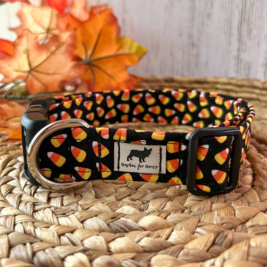 Candy Corn Collar