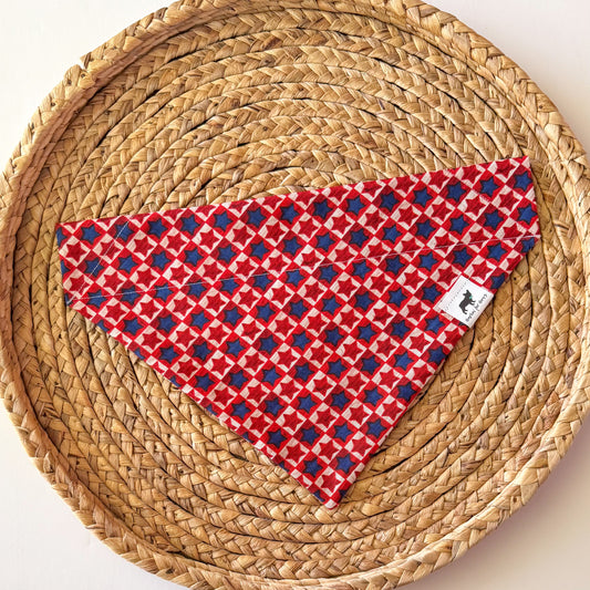 Rustic Americana Bandana