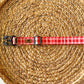 Red Picnic Plaid Collar
