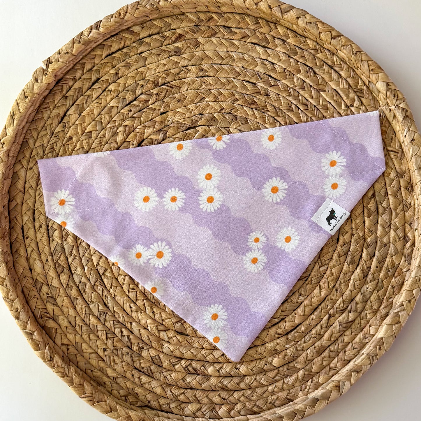 One Daisy at a Time Bandana