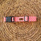 Checked Out for Summer Collar