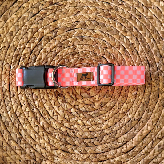 Checked Out for Summer Collar