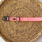 Checked Out for Summer Collar