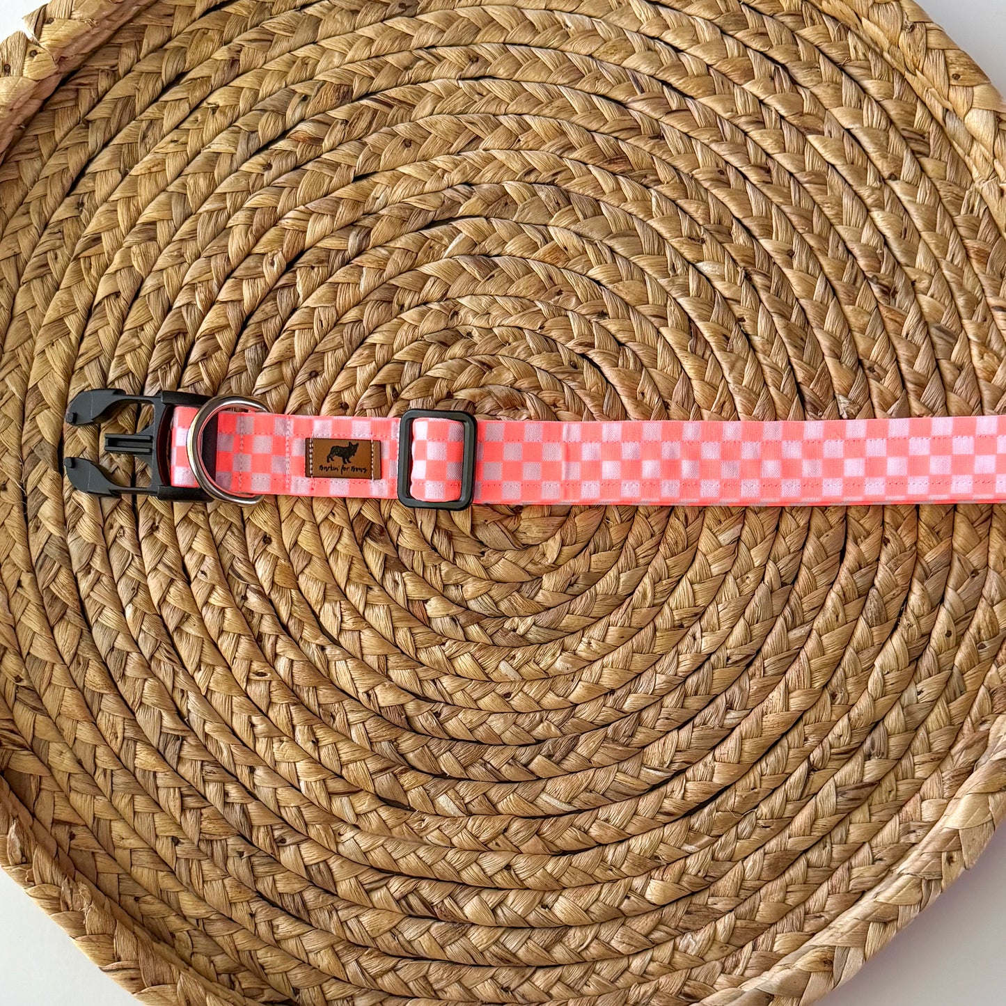 Checked Out for Summer Collar