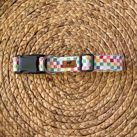 Checked Out for Summer Collar (Rainbow)