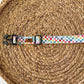 Checked Out for Summer Collar (Rainbow)