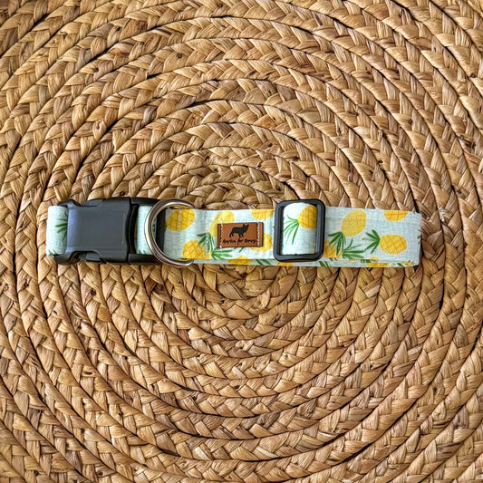 Stay Golden Collar