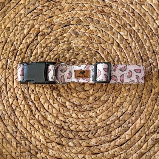 One-in-a-Melon Collar