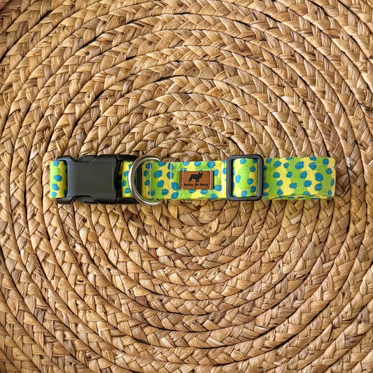Poolside Collar (Yellow)