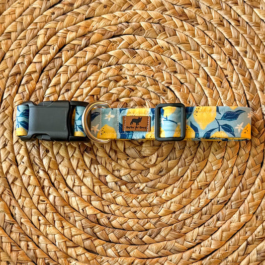 Lemons Collar