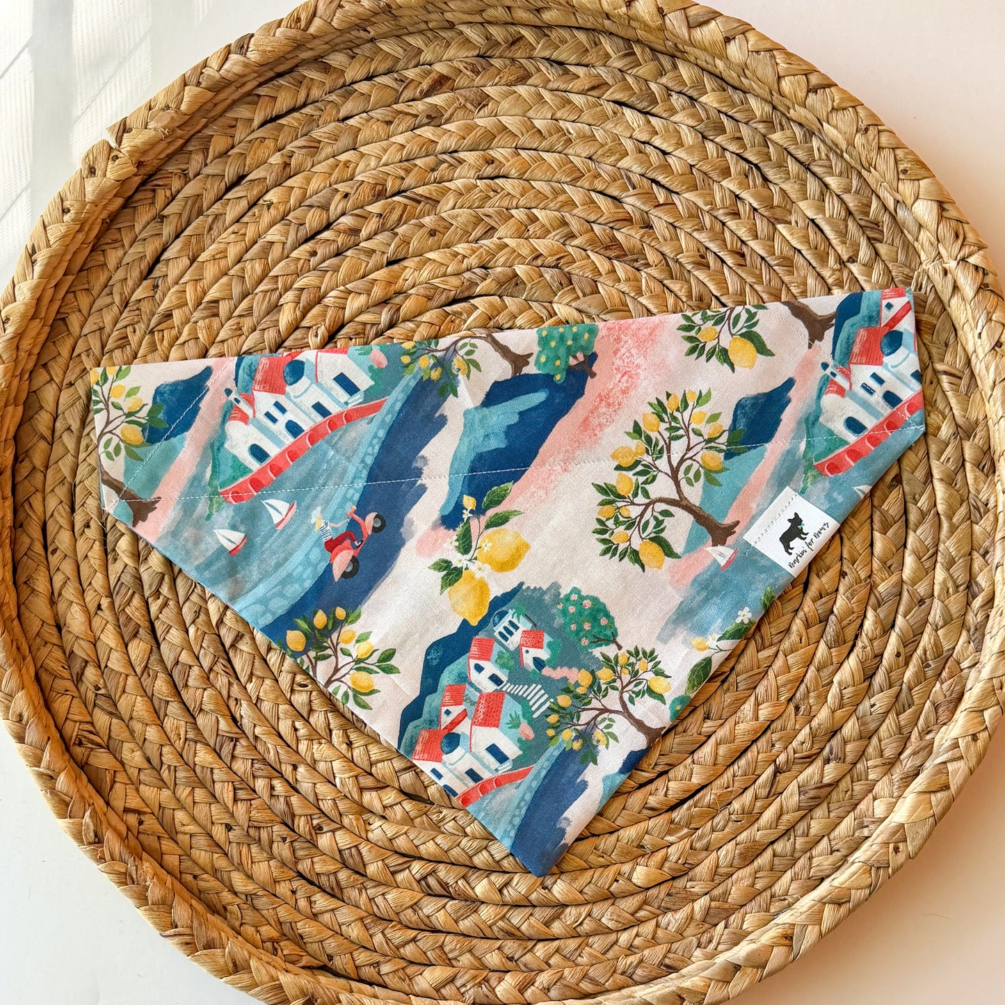 Little Village Bandana