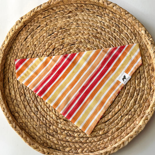 Bring The Heat Bandana
