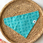 Turtle Bandana