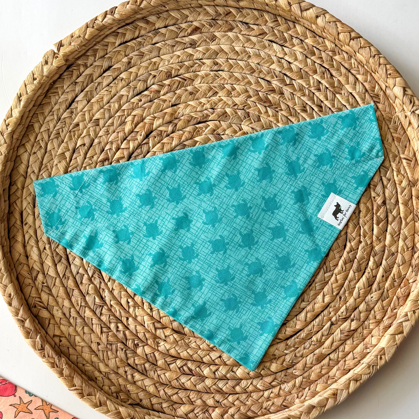 Turtle Bandana