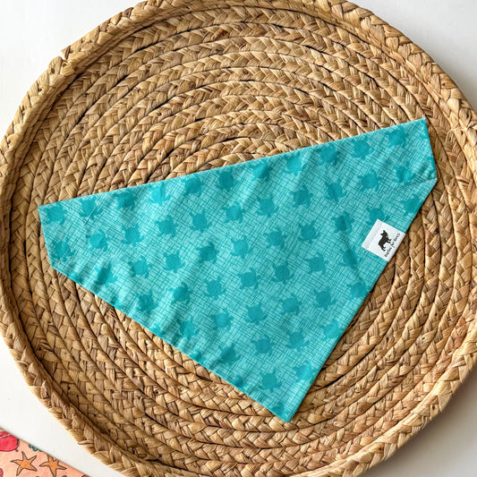 Turtle Bandana