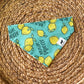 Main Squeeze Bandana