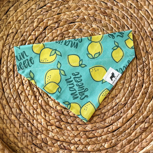 Main Squeeze Bandana