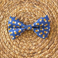 Beer Bow Tie