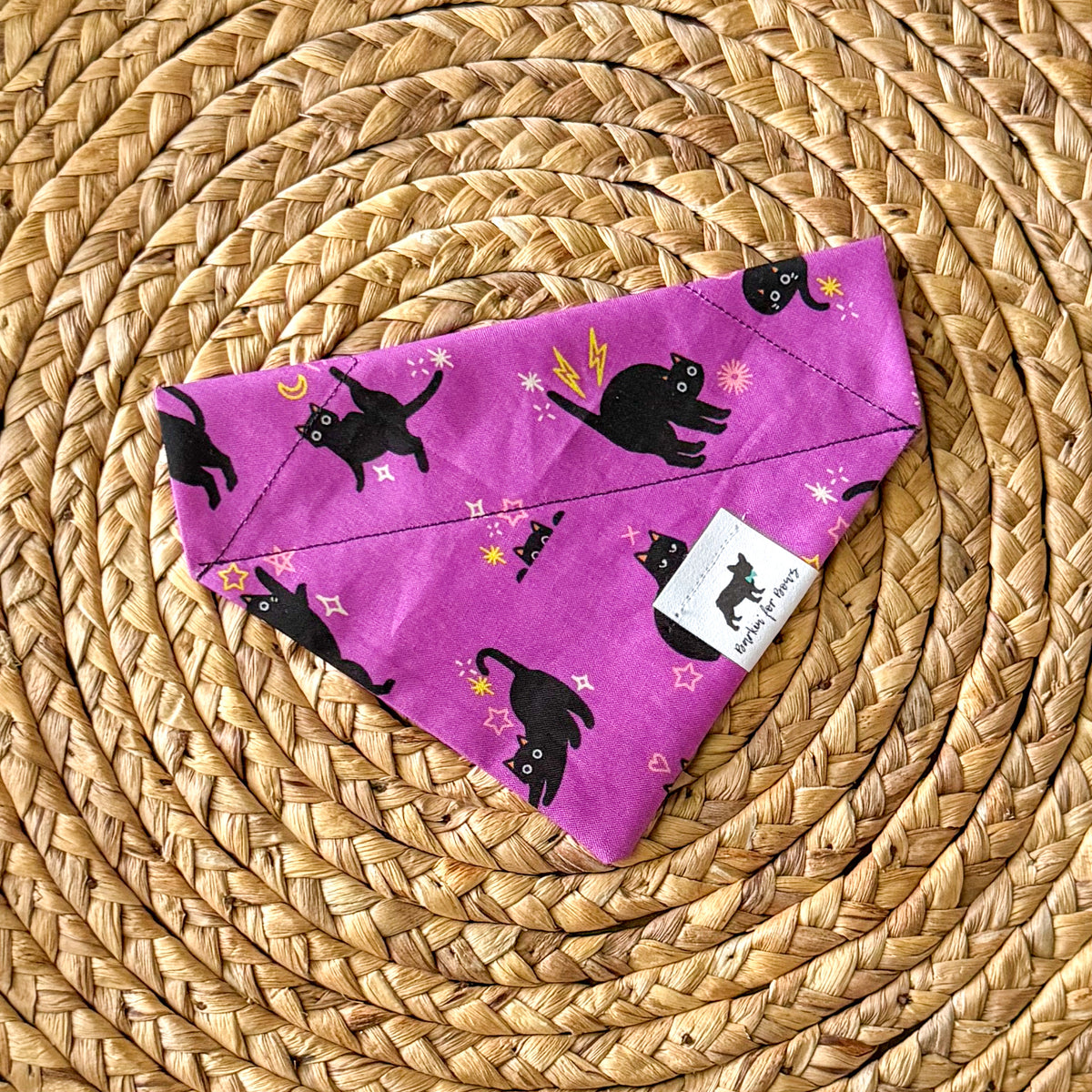 Black Cat (On Purple) Bandana