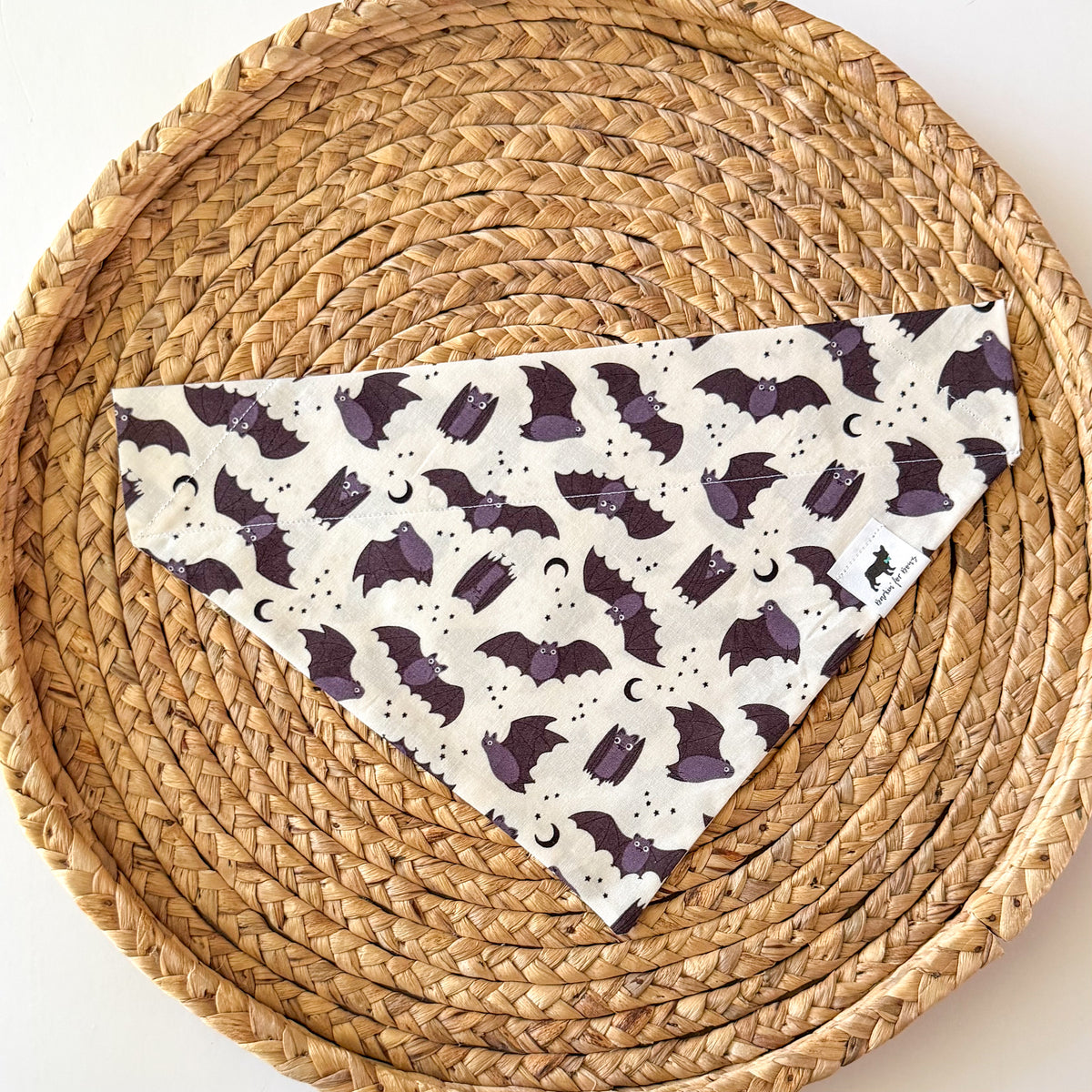 Hanging In There (White) Bandana