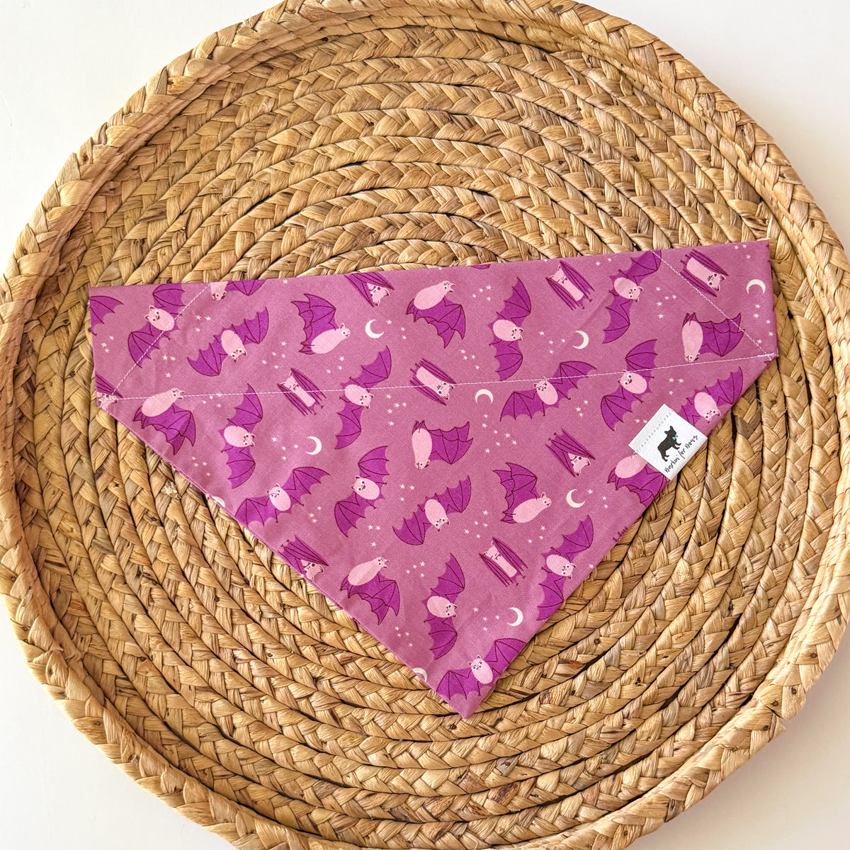 Hanging In There (Purple) Bandana
