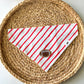 Game Day Stripes (Red) Bandana