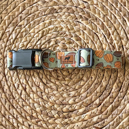Football and Pumpkins Collar