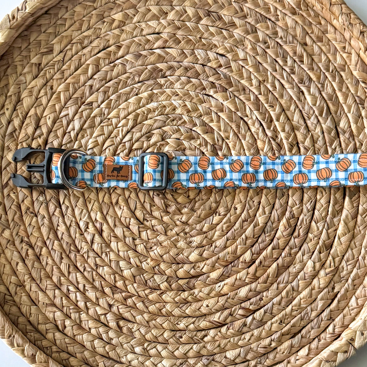 Pumpkin Plaid (Blue) Collar