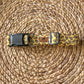 Pumpkin Pie Collar